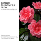 Fantine Rose Firming Cream