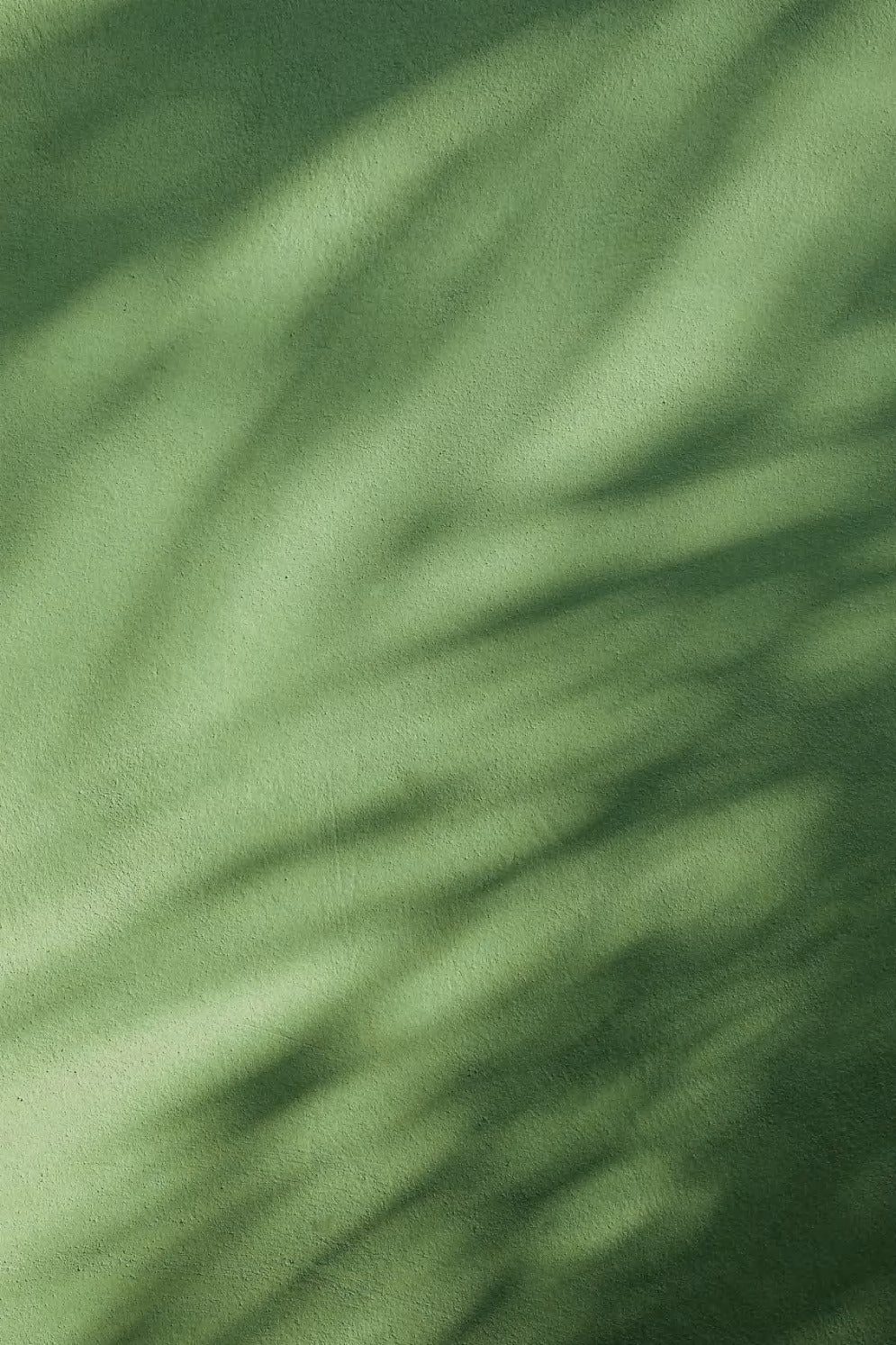 Soft botanical texture